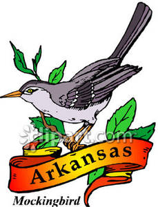 229x300 State Bird Of Arkansas, The Mockingbird