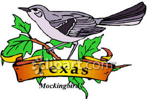 300x200 Bird Of Texas, The Mockingbird With Gold Banner Royalty Free