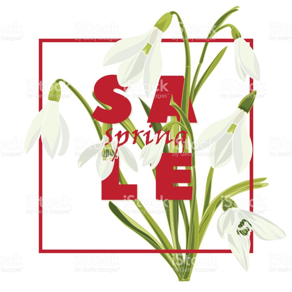 1024x1024 Typography Clipart Modern Flower