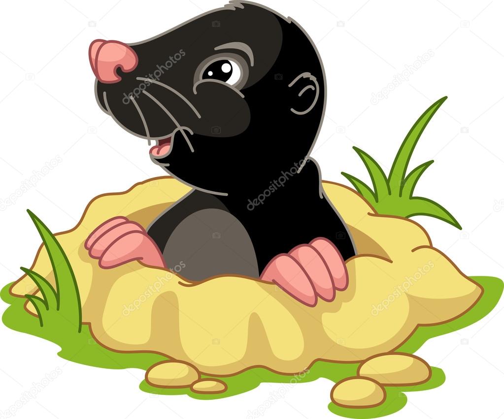1023x852 Cute Cartoon Mole Stock Vector Malyaka