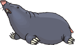 298x180 Mole Looking Up Clip Art
