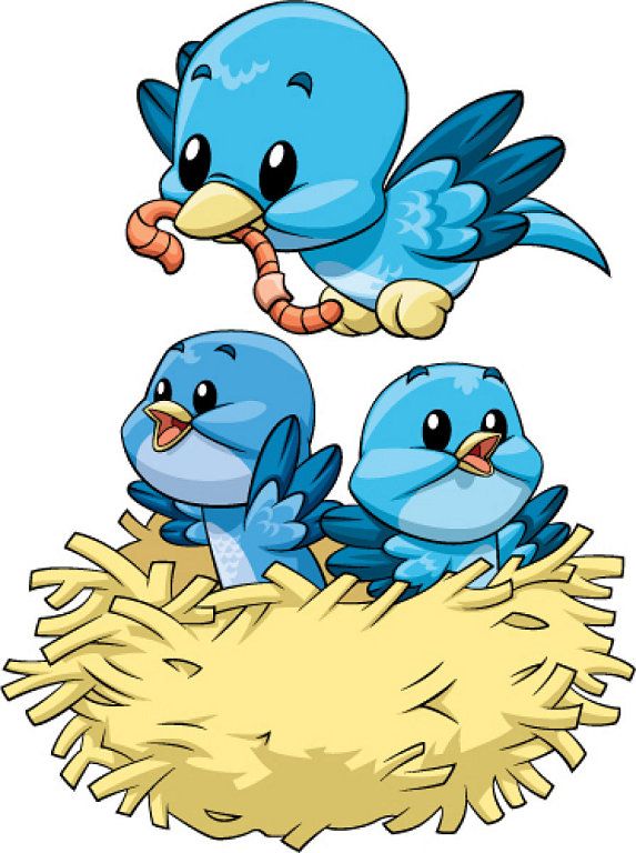 573x768 250 Best S.animals Clip Art Images Pictures, Card