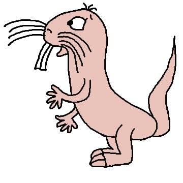 360x360 Animal Clipart