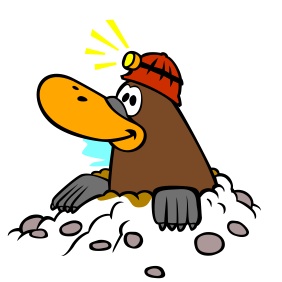 282x282 National Mole Day