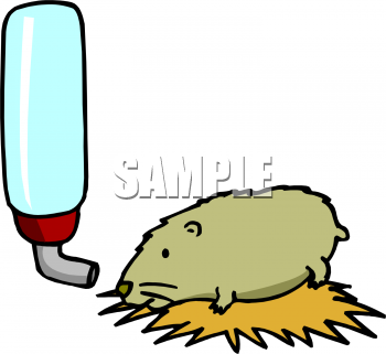 350x321 Royalty Free Hamster Clip Art, Pet Clipart
