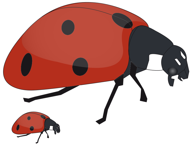 800x609 Free Mommy Ladybug And Baby Ladybug Clip Art