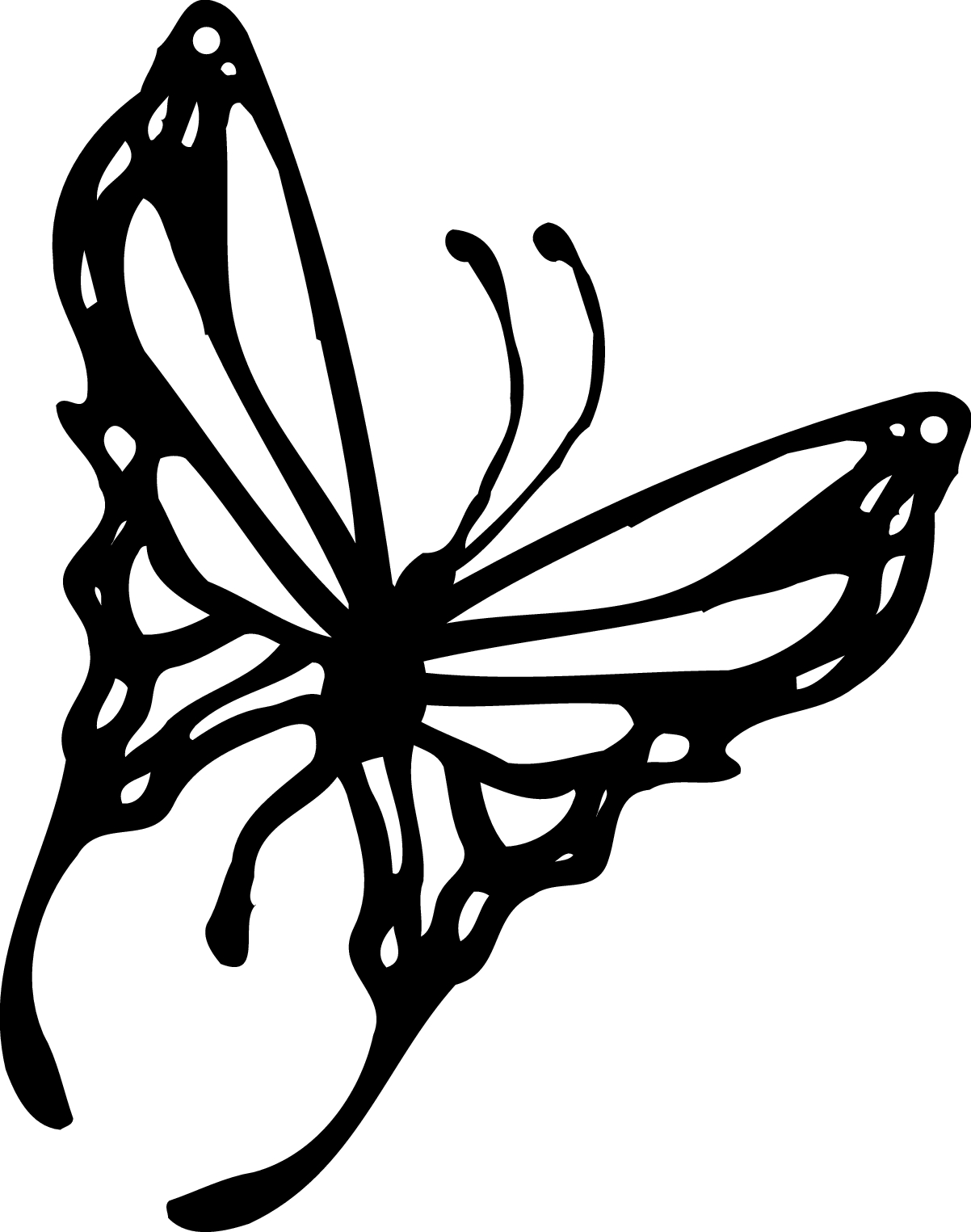 Monarch Butterfly Drawing