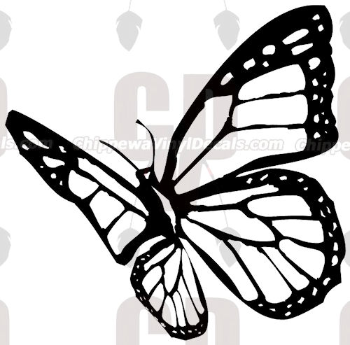 500x493 Monarch Butterfly Decal Bf1015