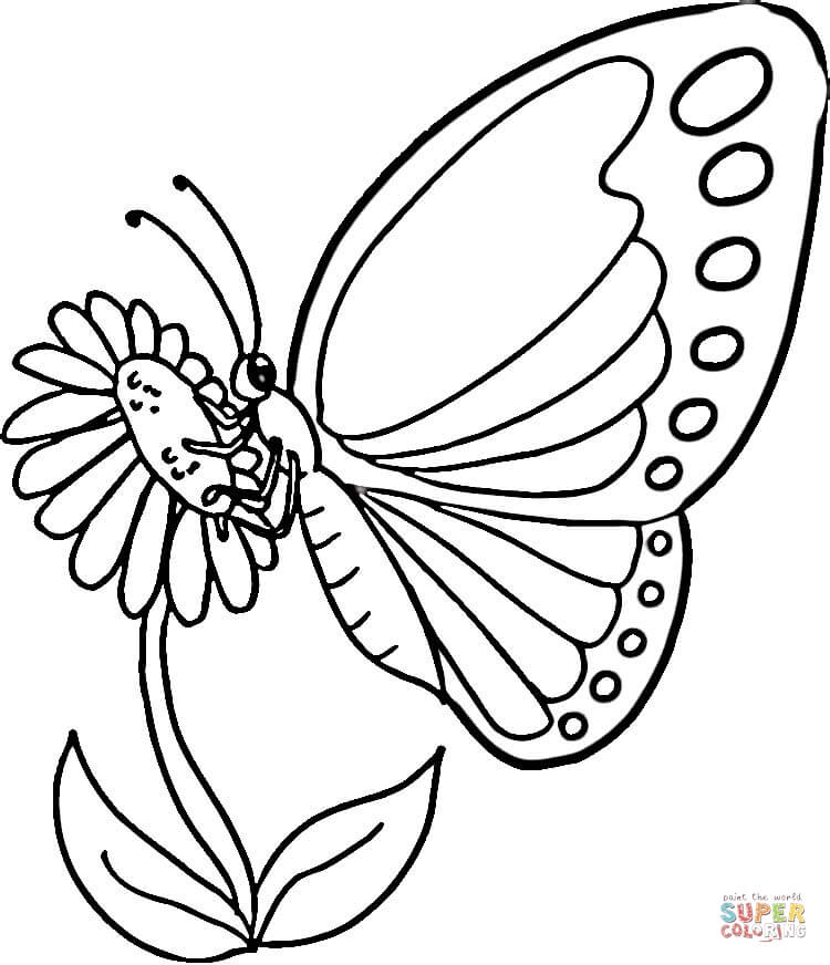750x872 Monarch Butterfly Coloring Page Free Printable Coloring Pages