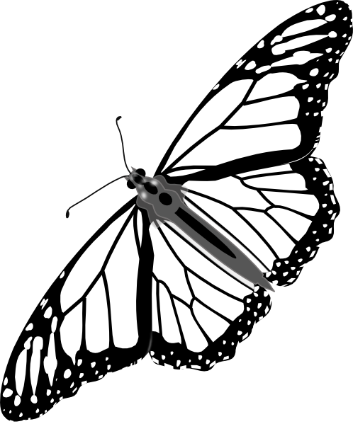 498x599 Black Butterfly Tattoos Monarch Butterfly Bw No Shadow Clip Art