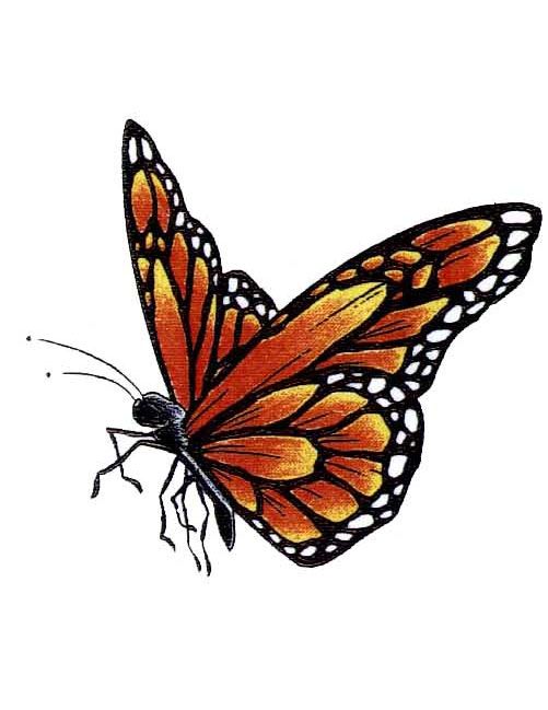 501x649 Monarch Butterfly Tattoos Ideas