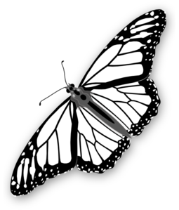 255x299 Monarch Butterfly Bw Clip Art