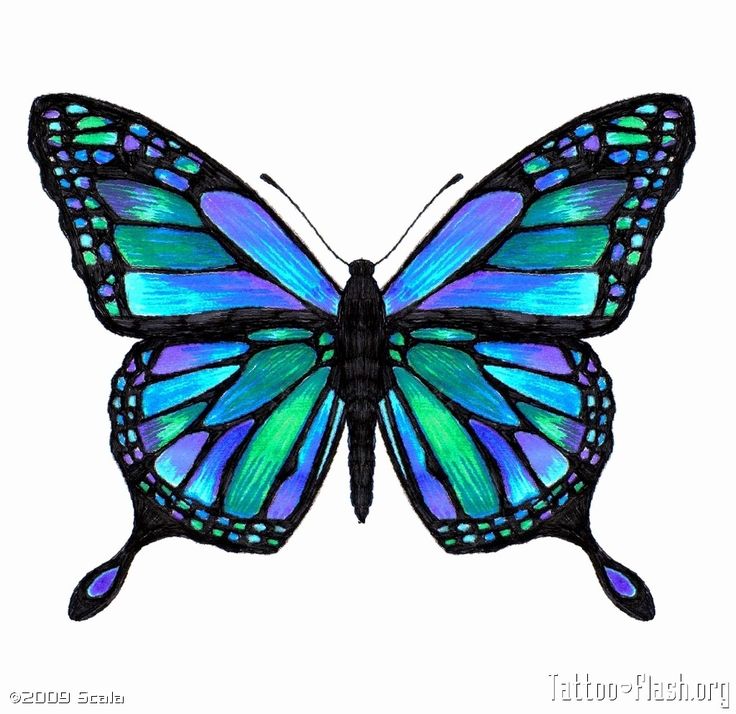 monarch butterfly outline free download on clipartmag
