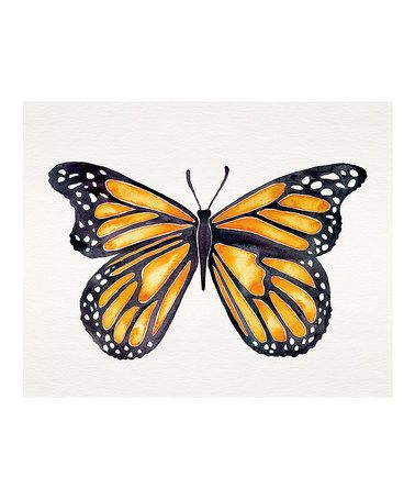 378x454 81 Best Theme Butterflies Images Caterpillar