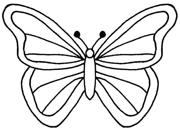 581x422 Best Butterfly Outline