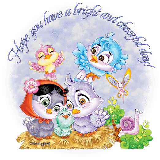 522x522 220 Best Gif's (Animated Birds) Images Beautiful