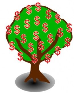 260x329 70 Best Money Tree Images Desktop Backgrounds