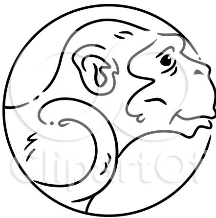 442x445 31 Best White Monkey Tattoo Images Design Art