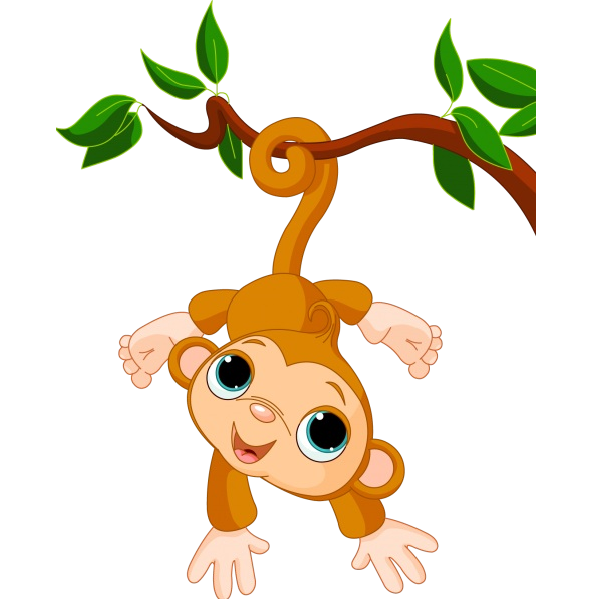 600x600 Monkey Images