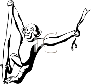 350x326 Chimpanzee Clipart Black And White