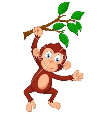 380x400 73 Best Monkeys