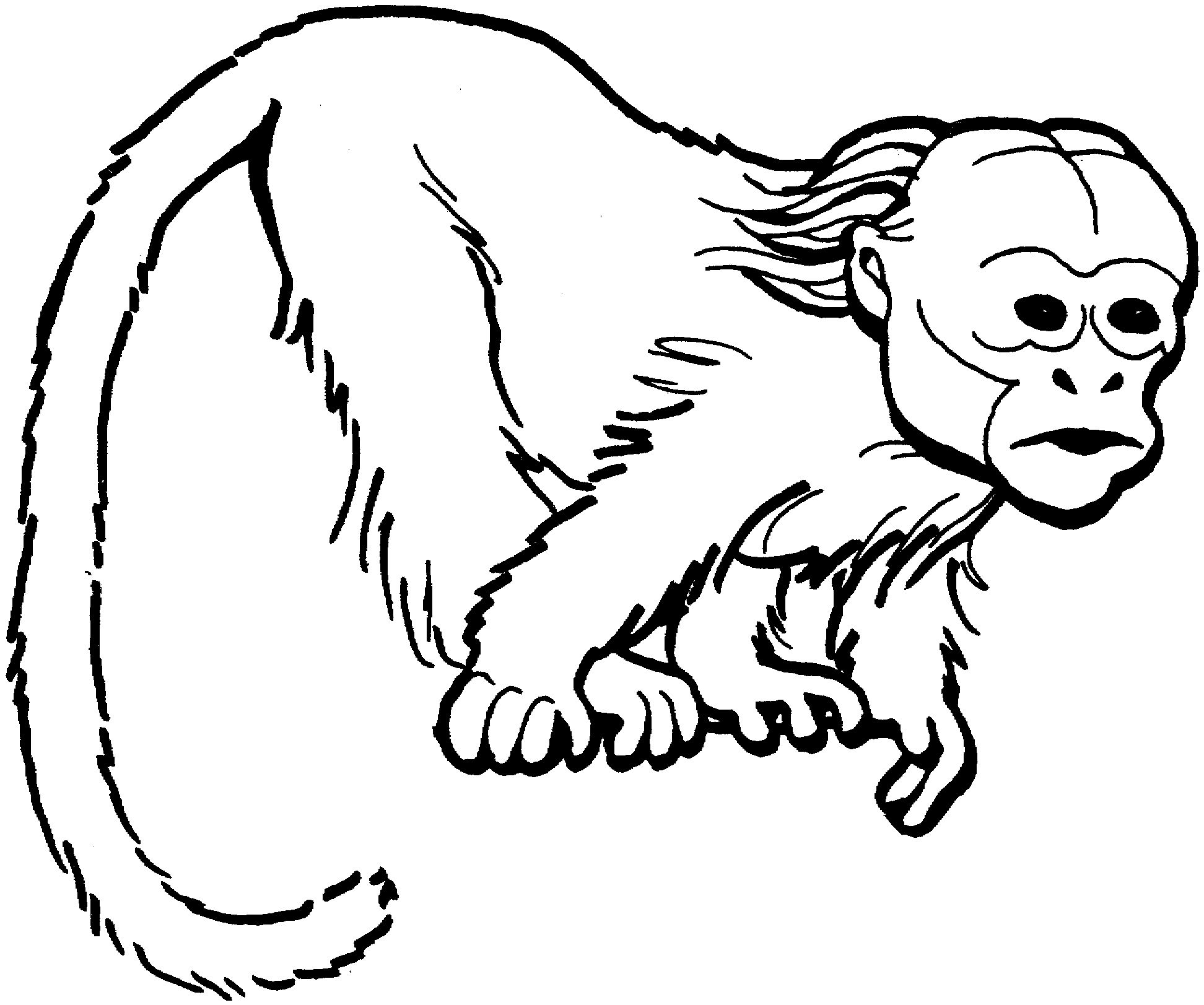 1944x1623 Monkey Coloring Page Ppinews.co