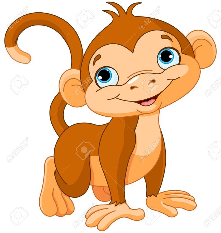 736x777 32 Best Monkeys Images Crafting, Monkey And Pictures