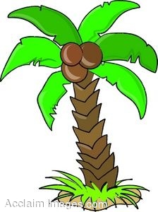 224x300 Coconut Tree Monkey Clipart