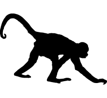 221x203 Monkey Silhouette Clipart