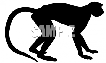 350x209 Monkey Silhouette Clipart