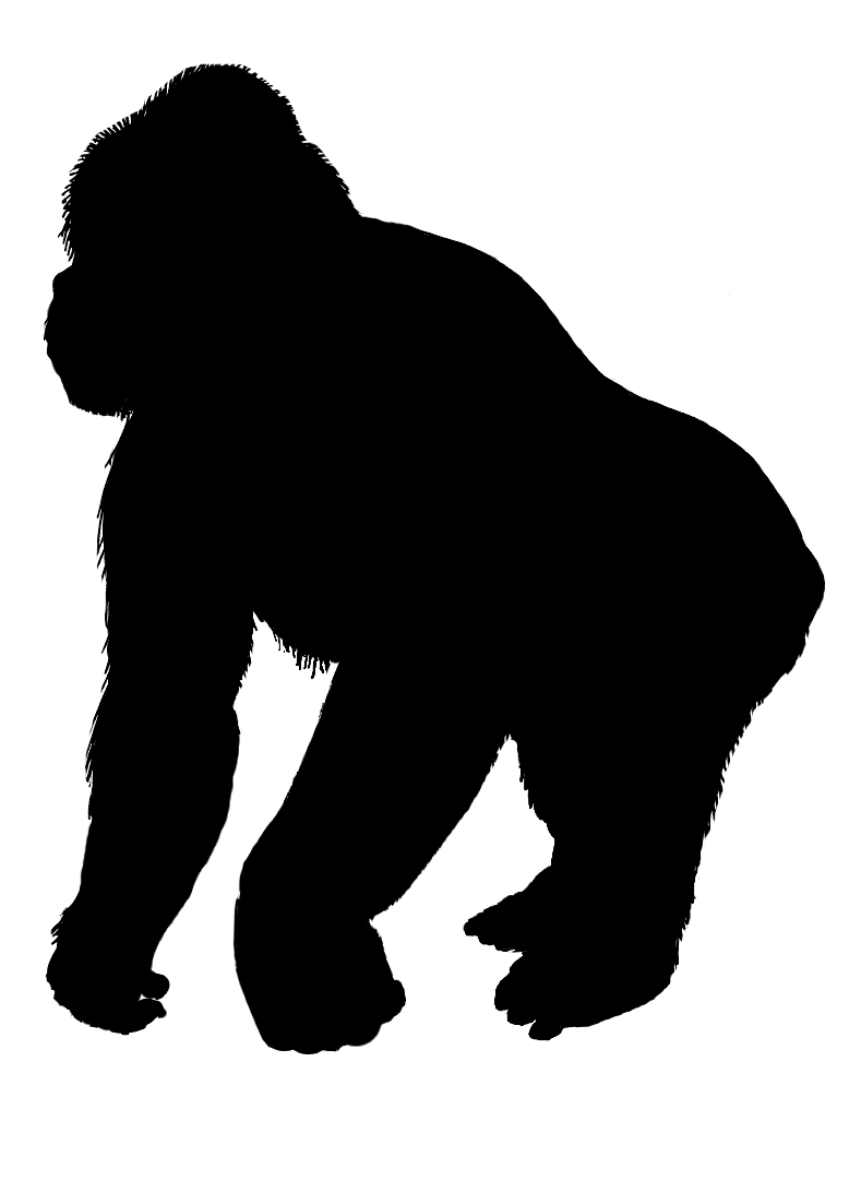 789x1082 Silhouette Gorilla Clipart, Explore Pictures