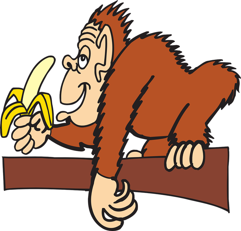 800x769 Free To Use Amp Public Domain Monkey Clip Art