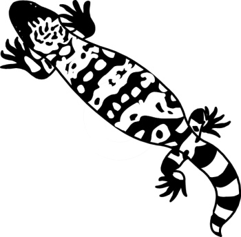 350x344 Gila Monster