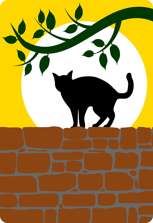 495x720 Moonlight Clipart Cat