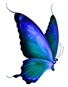 235x300 719 Best Clip Art Butterflies Amp Dragonflies Images