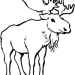 150x150 Free Moose Clipart Black And White Image