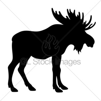 325x325 Moose Sketch Gl Stock Images
