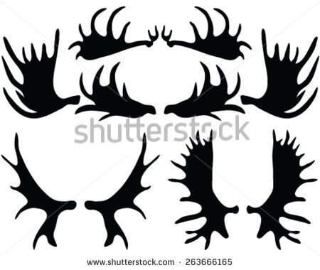 450x380 Moose Clipart Moose Antler