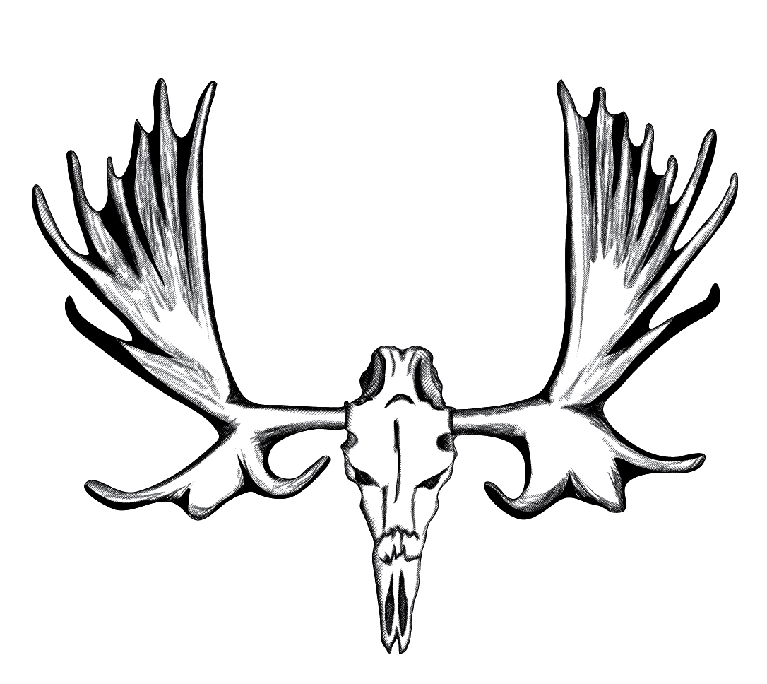 1086x968 Moose Skull Clip Art
