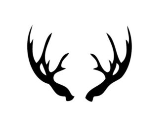 340x270 Moose Rack Clipart