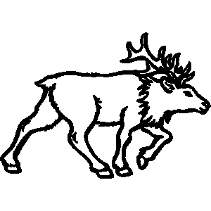300x300 Top 79 Elk Clipart