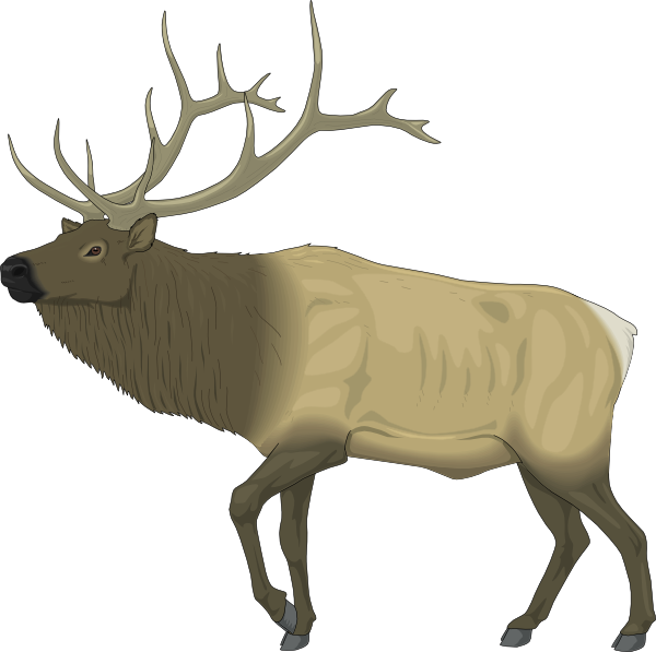 600x597 Moose Clipart