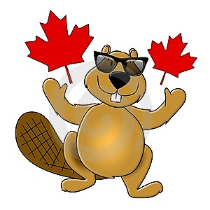 300x300 Moose Clipart Canada Day