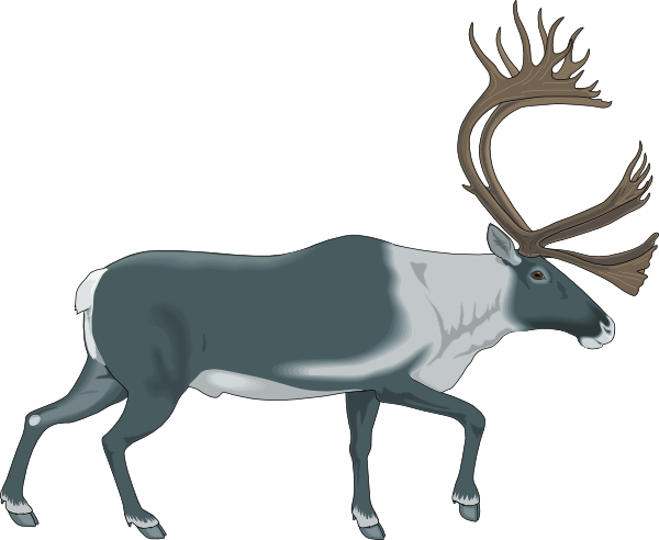 600x492 Walking Moose Png, Svg Clip Art For Web