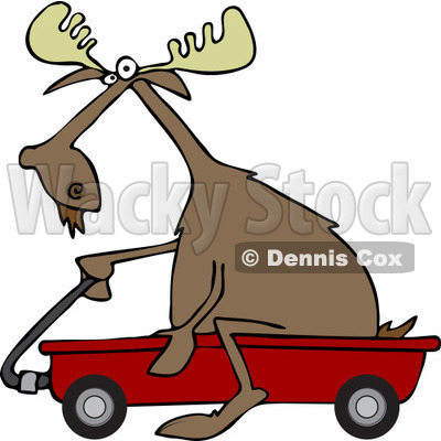 400x400 Of A Moose Riding In A Red Wagon