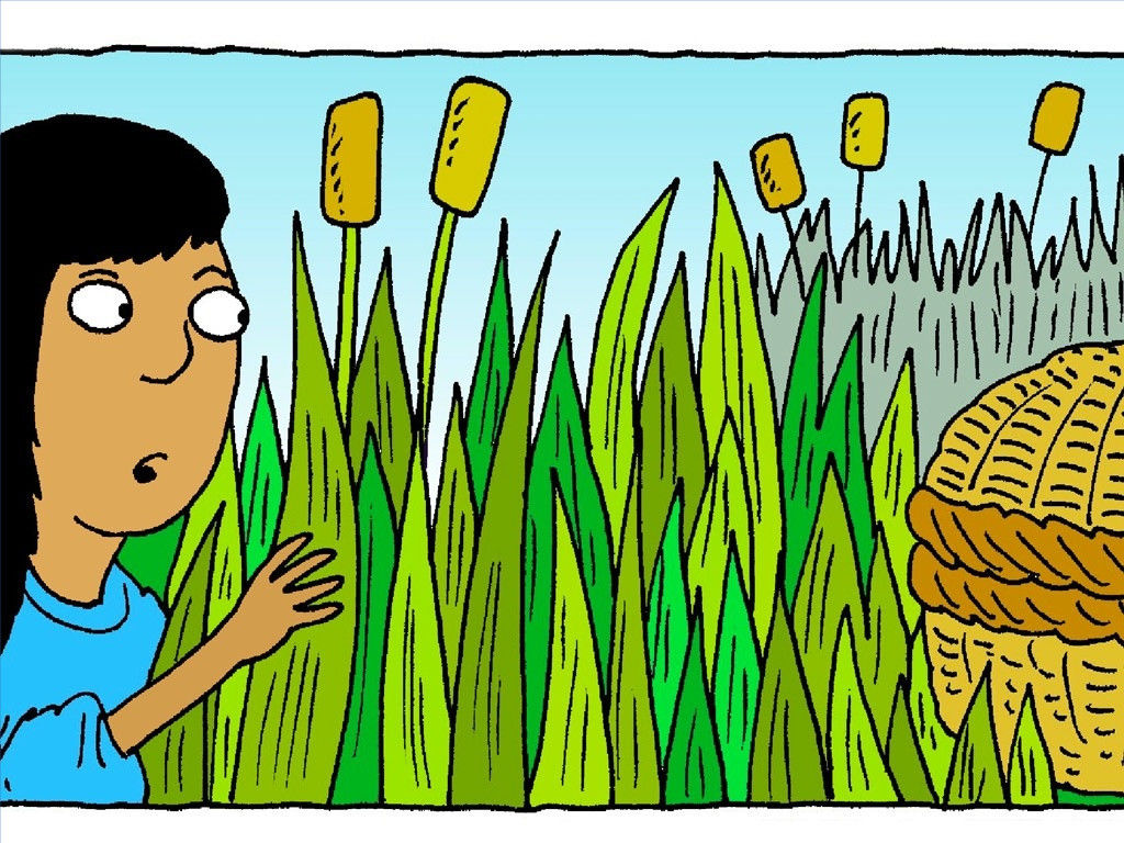 1024x768 Prophecy Clipart Baby Moses