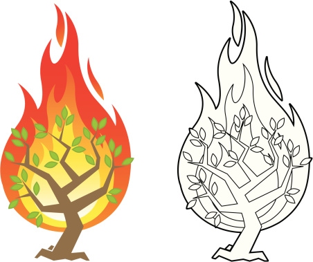 452x379 Burning Bush Clipart