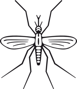 258x298 Mosquito Clip Art