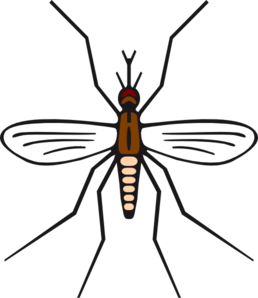 258x298 Mosquito In Brown Color Clip Art