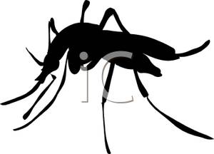 300x216 Mosquito Silhouette